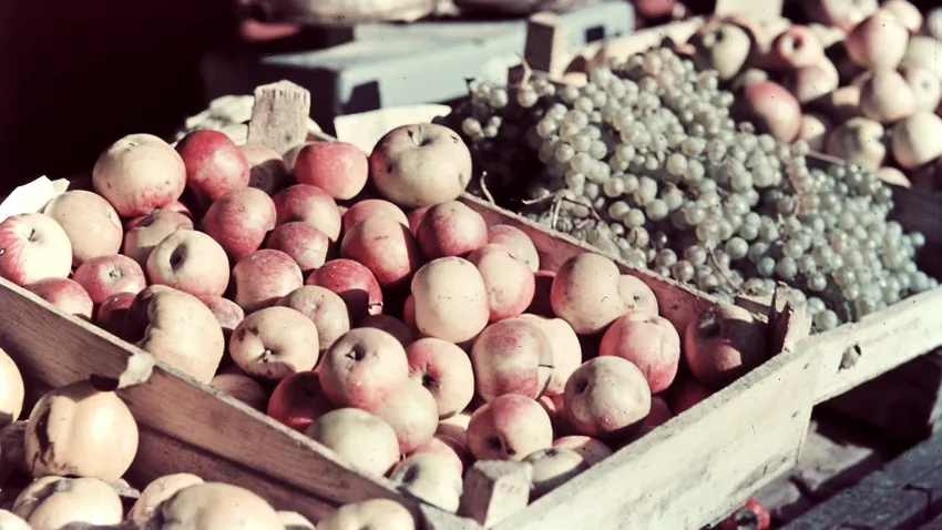 Kvíz kérdést ábrázoló kép