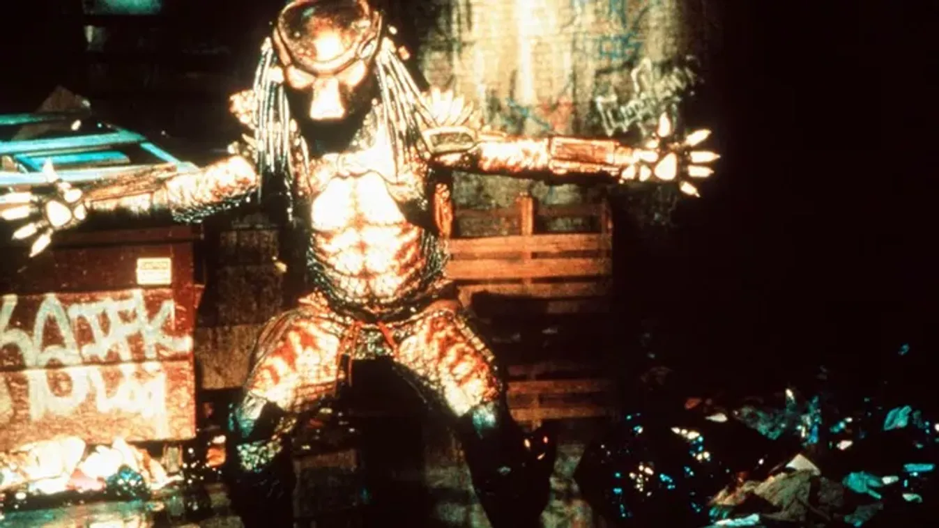 Holttestet találtak a forgatáson, összeveszett a két magyar filmes: ez az elátkozott filmsorozat uralta le a Disney+-t