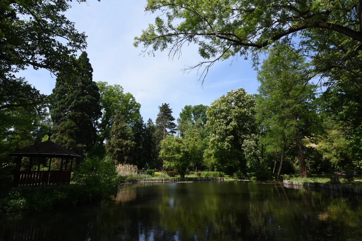 A kámoni arborétum dísztava pihenő pavilonnal.