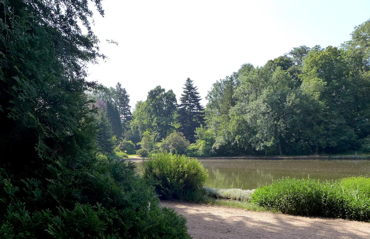 A Zirci arborétum dísztava, körülötte fenyőkkel és lombhullató fákkal.