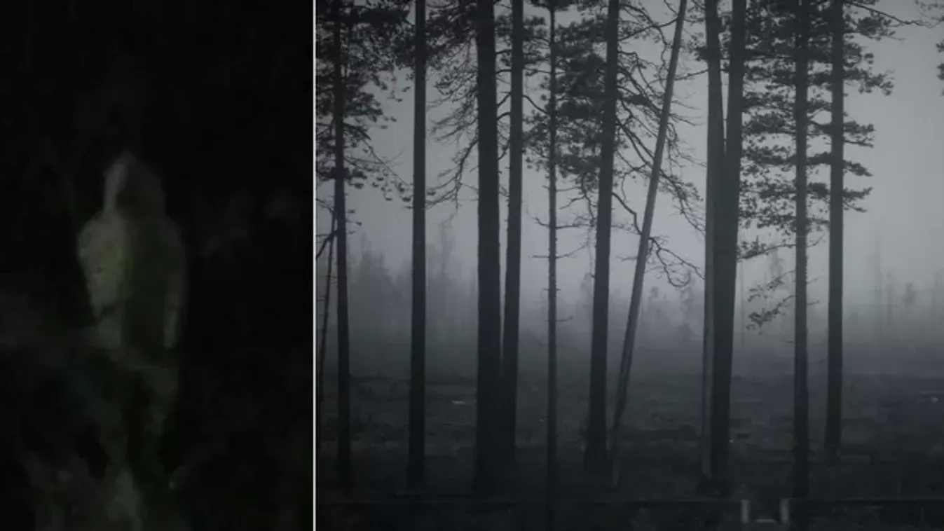 Hátborzongató fotó: sokkot kapott Csaba, amikor rájött, milyen szellemet fotózott az erdőben