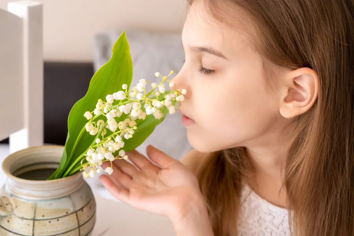 Kislány gyöngyvirágot szagol, ami mérgező növény.