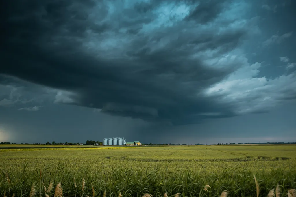 ILLUSZTRÁCIÓNAK NE HASZNÁLD!