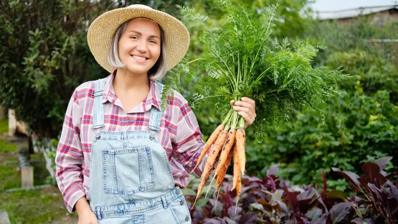 Friss, ropogós és tavaszra beérik – Ezeket a zöldségeket már februárban érdemes elvetni