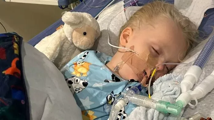 24 órával a szörnyű diagnózis után hunyt el az 5 éves fiú