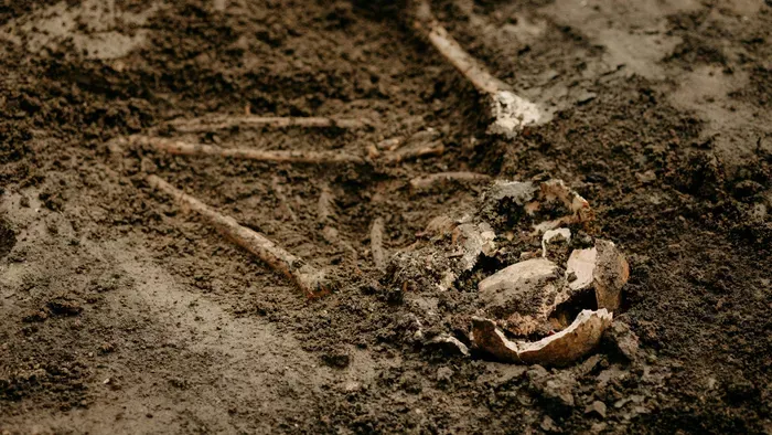  Rejtélyes sárkány koponyára bukkantak a sivatagban