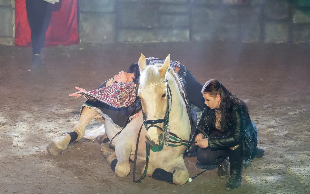 Tóth Gabi produkcióján nem látszódott, hogy nincs az állatok társaságához szokva.