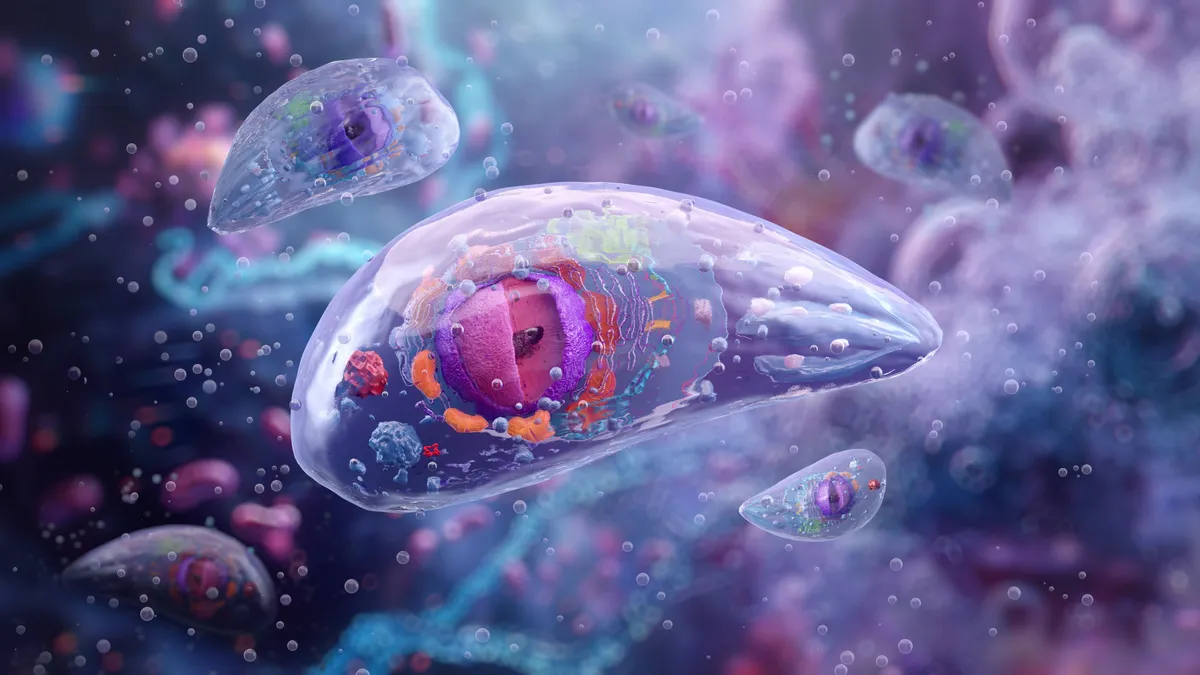 Paraziták élhetnek az agyadban – tudj meg mindent a toxoplazmózisról