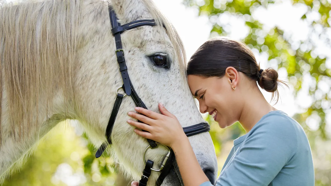 Retró kvíz – Magyar lovak, ménesek: 5 egyszerű kérdés, amire az emberek csupán 1 százaléka tudja a választ