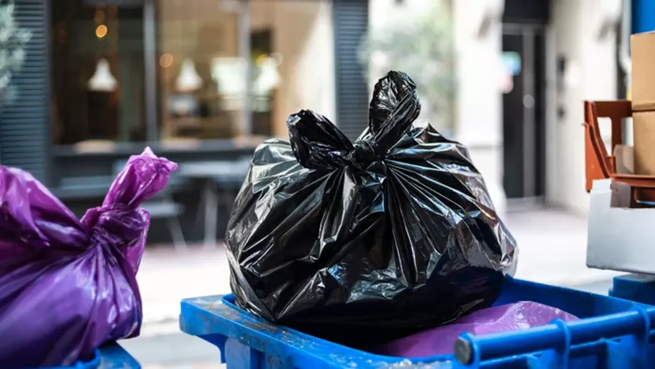 20 aranyrúd landolt a kukában, hála a világ legnagyobb lúzerének!