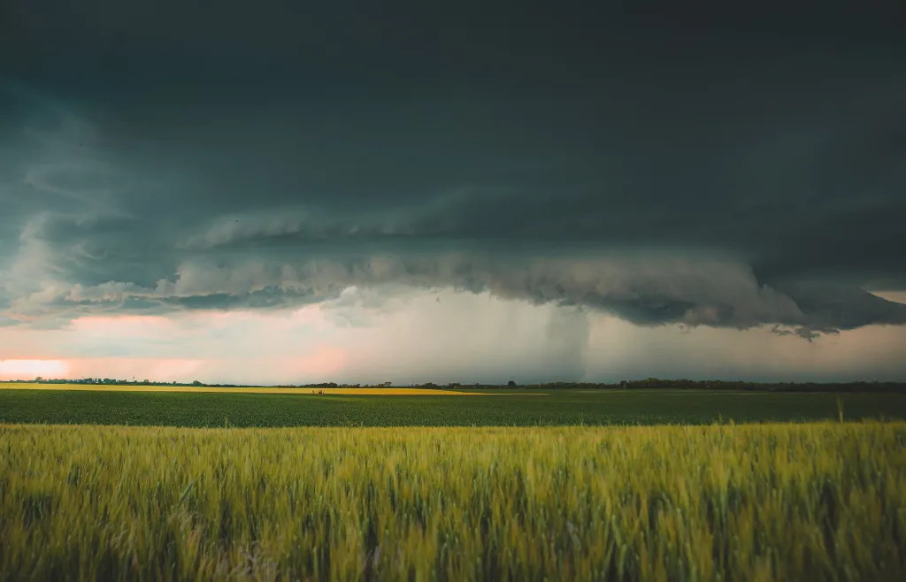ILLUSZTRÁCIÓNAK NE HASZNÁLD!