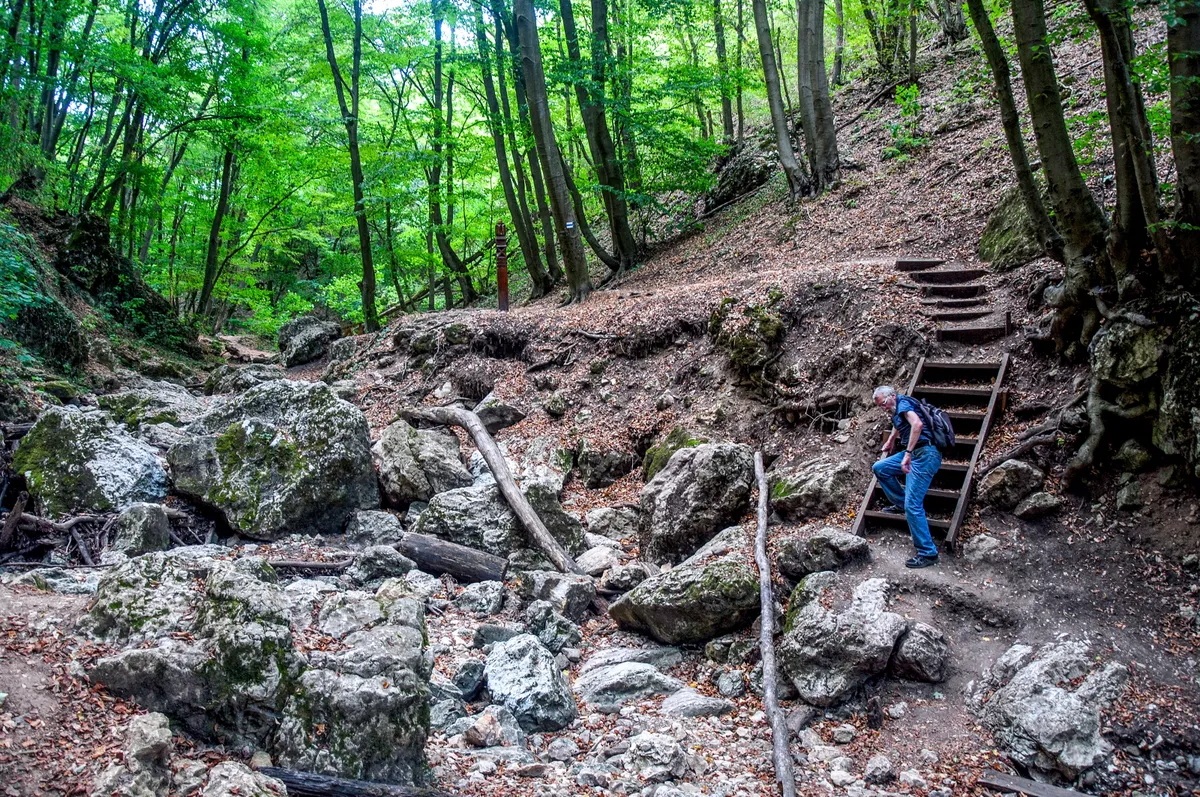 Idős férfi túrázik a Dera-szurdokban.