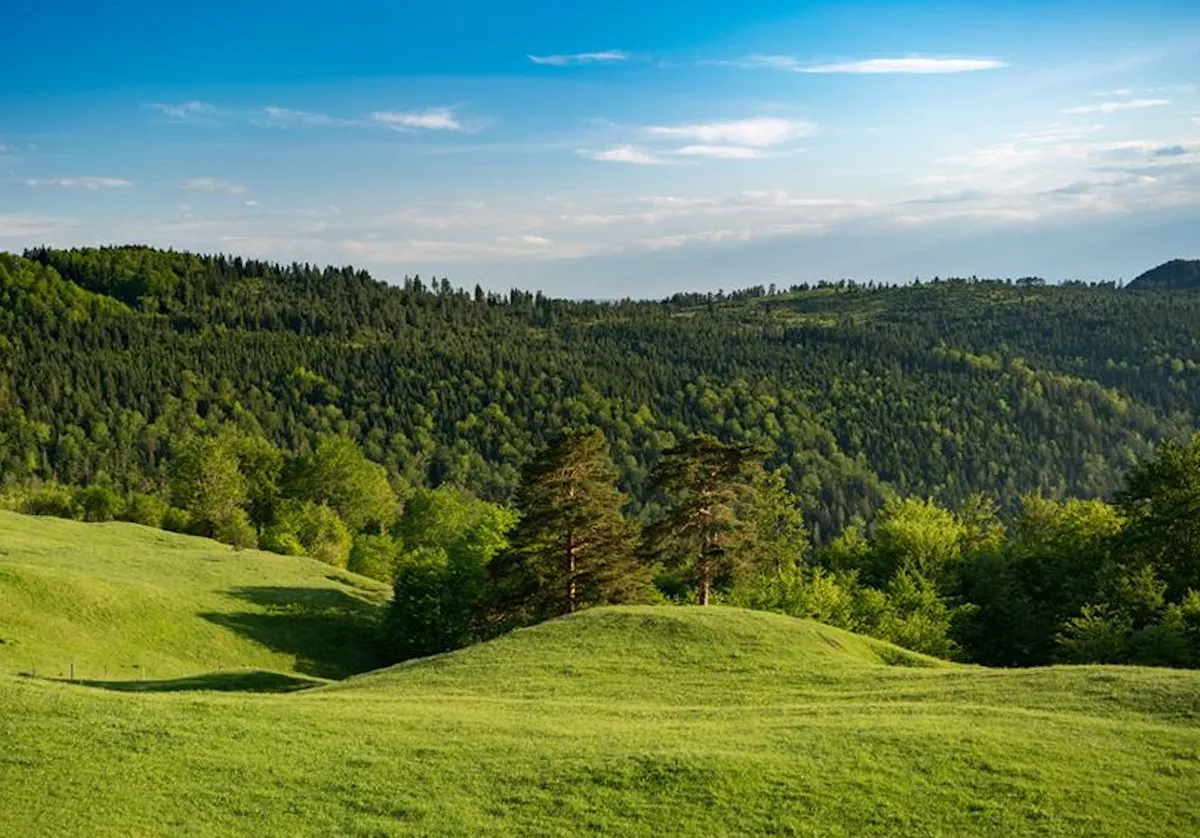 A szerbiai Zlatibor-hegy zöldellő környezete.