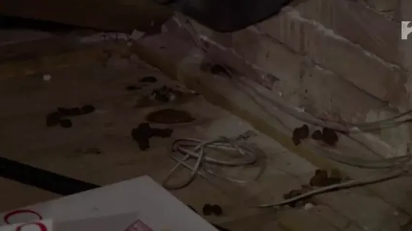 Borzasztó körülmények között él Molnár Anikó