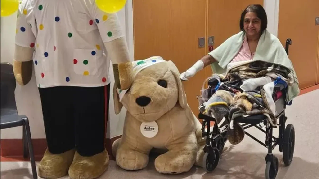 Megnyalta a kutyája: mind a négy végtagját amputálni kellett a nőnek