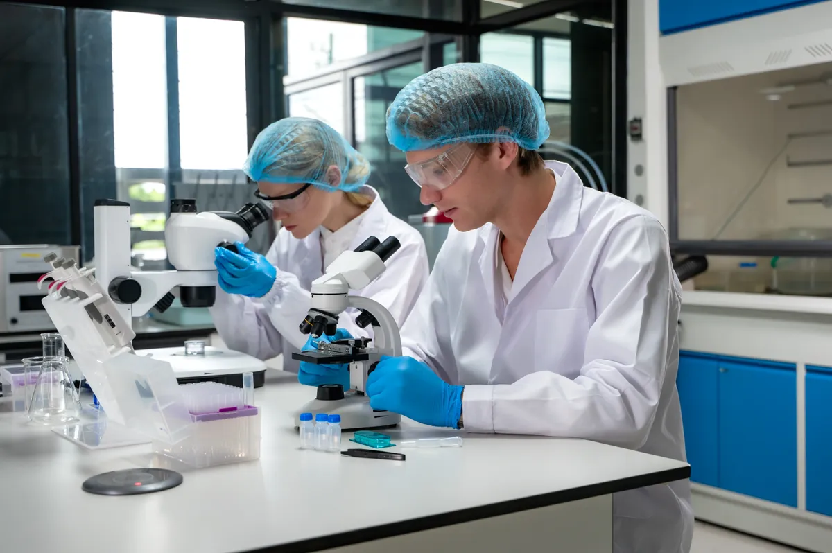 Toxoplazmózist kutató laboránsok mikroszkópokkal