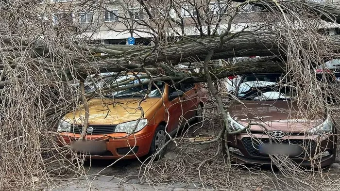 Kidőlt fa zúzta totálkárosra a kocsikat az óbudai parkolóban