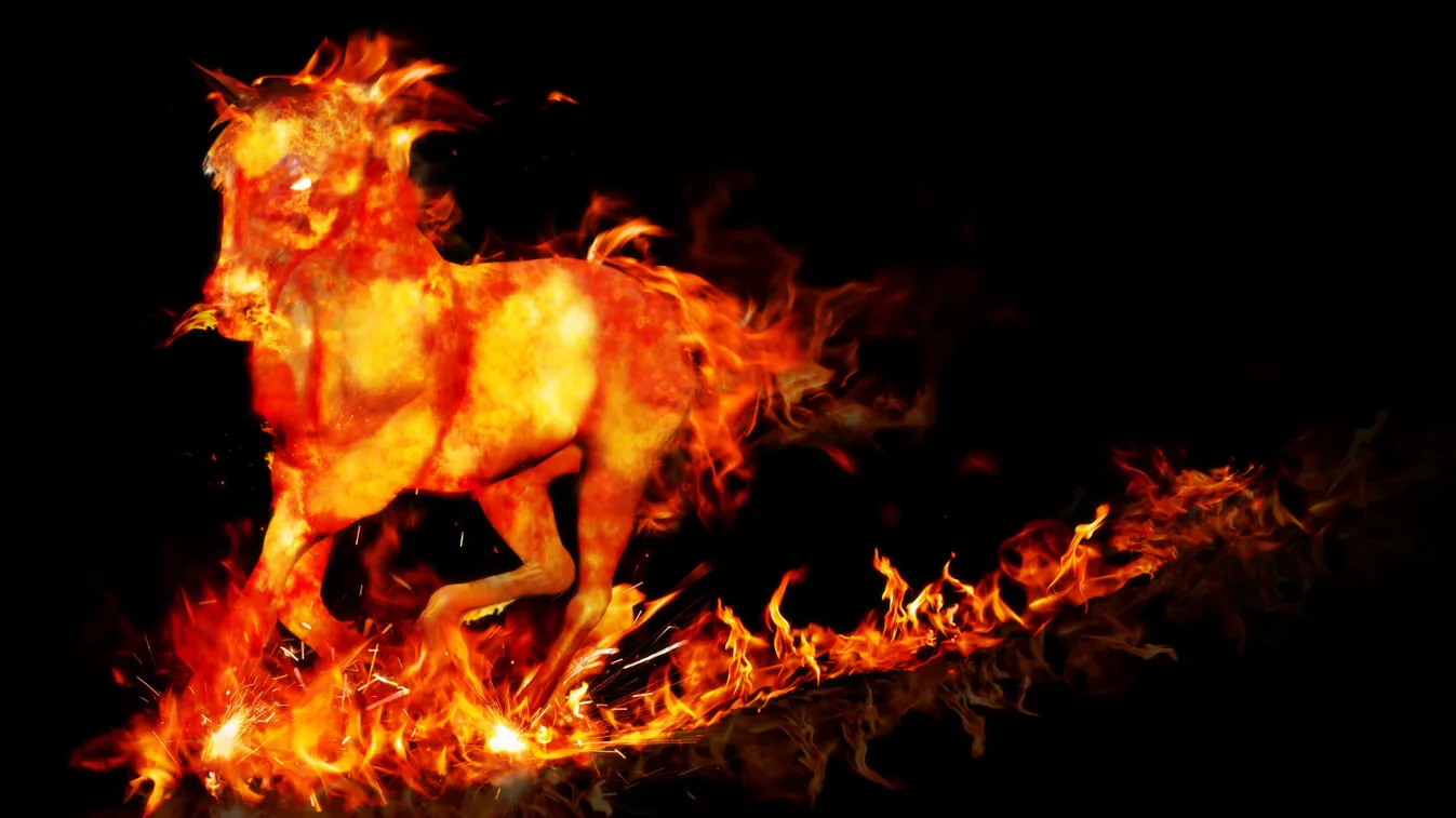 Elkezdődött a Tűz Ló éve.