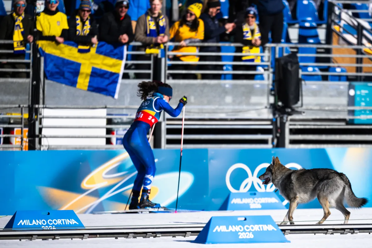 Nazgul, a téli olimpia váratlan versenyzője