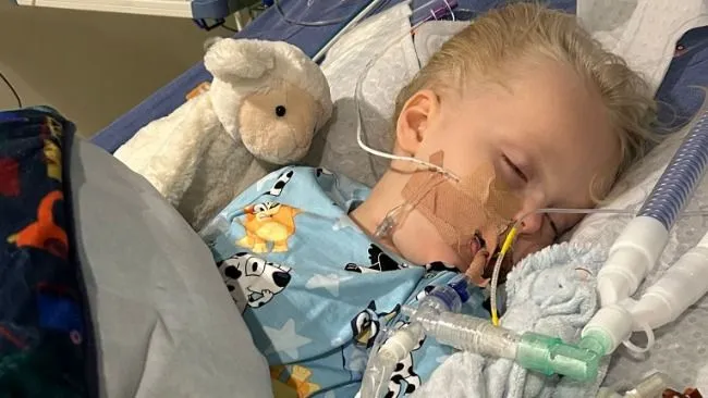 Megkapta az agyhártyagyulladás diagnózisát a kisfiú, de már nem tudták megmenteni az orvosok.