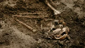 Hihetetlen felfedezést tettek a régészek: rejtélyes sárkány koponyára bukkantak a sivatagban