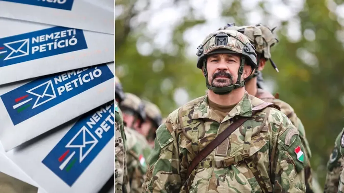 Bárdosi Sándor kitölti a Nemzeti Petíciót: Neked is ezt javaslom