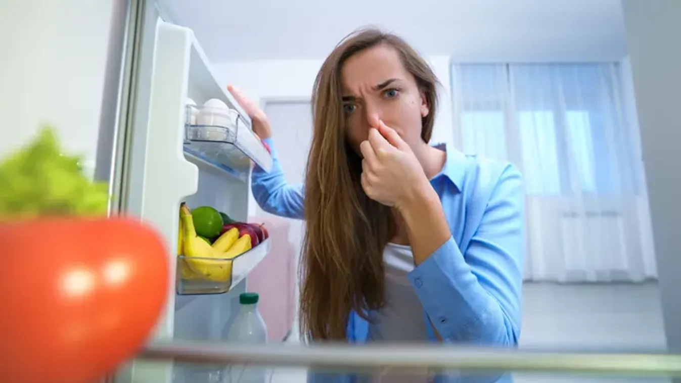 Büdös a hűtő? Így szagtalaníthatod profi módon