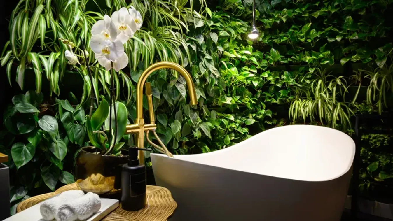 Ezek a fürdőszobai növények a legjobb választások, ha dzsungelt varázsolnál a lakásba