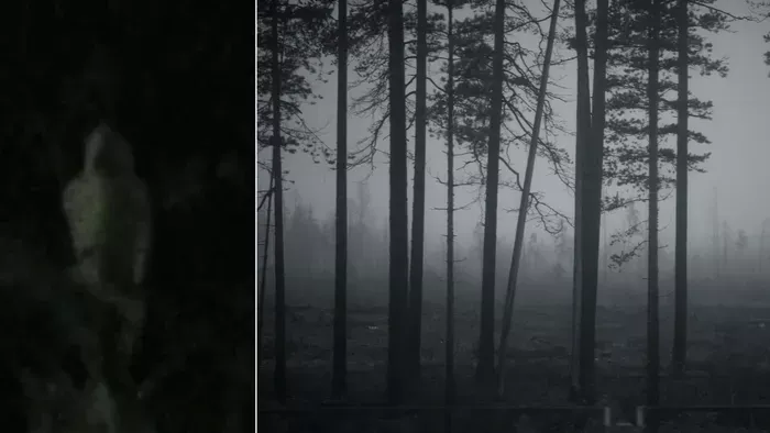 Sokkot kapott Csaba: szellem kísért az erdőben