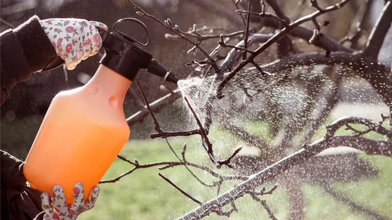 Itt a téli lemosó permetezés ideje: ezek a legfontosabb tudnivalók