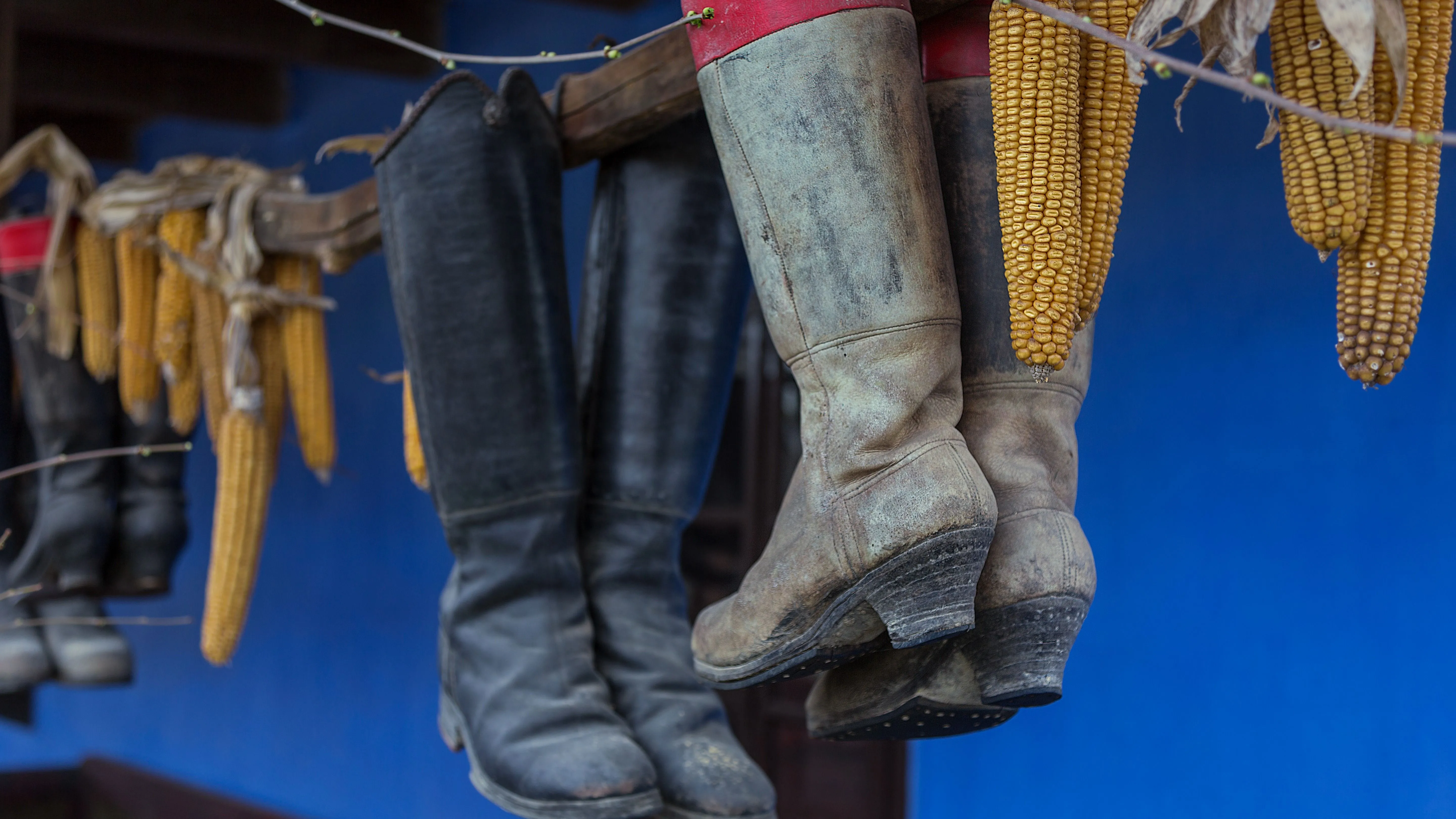 Kvíz kérdést ábrázoló kép