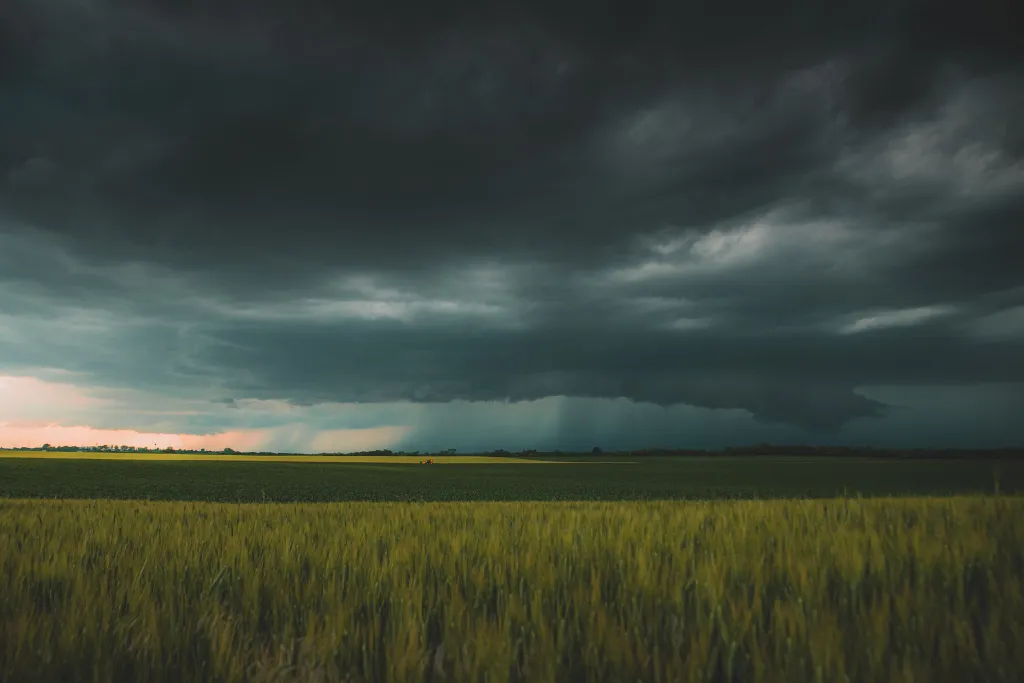ILLUSZTRÁCIÓNAK NE HASZNÁLD!