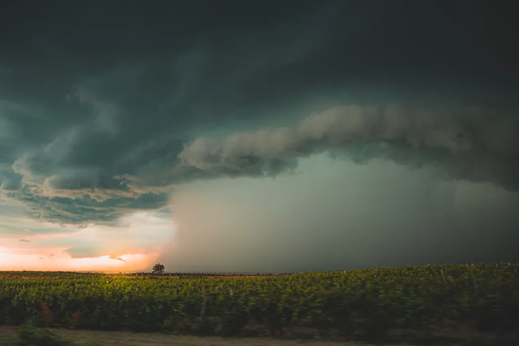 ILLUSZTRÁCIÓNAK NE HASZNÁLD!