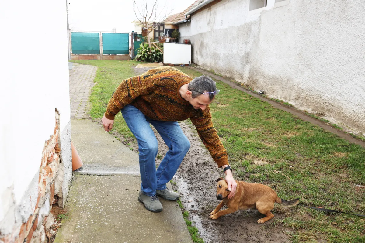 János gondozza tovább Ilona kedvencét