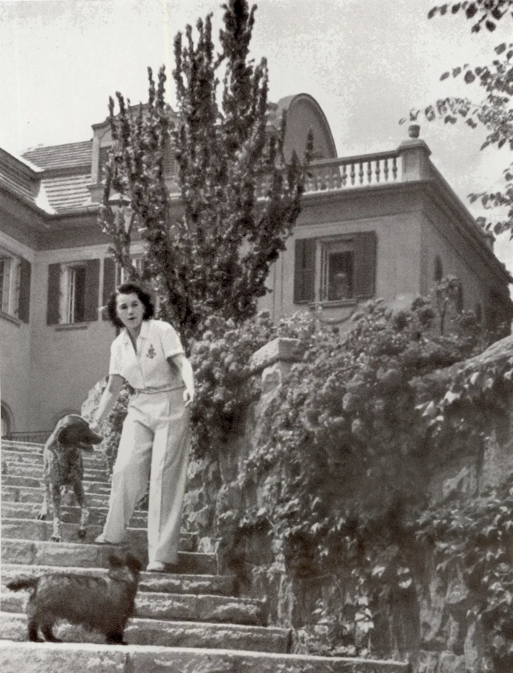 Bajor-gizi-szineszno-otthonaban-kutyaival 