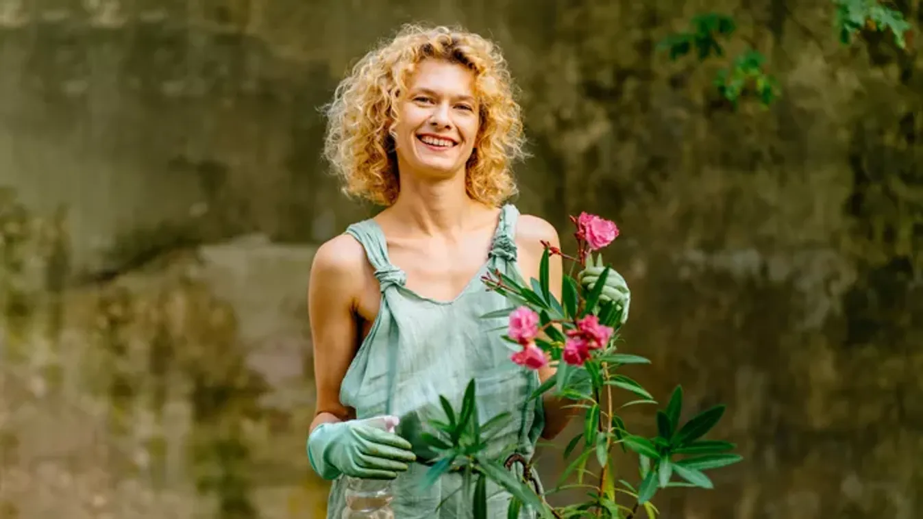  Elfagyott a leander? Íme a megoldás