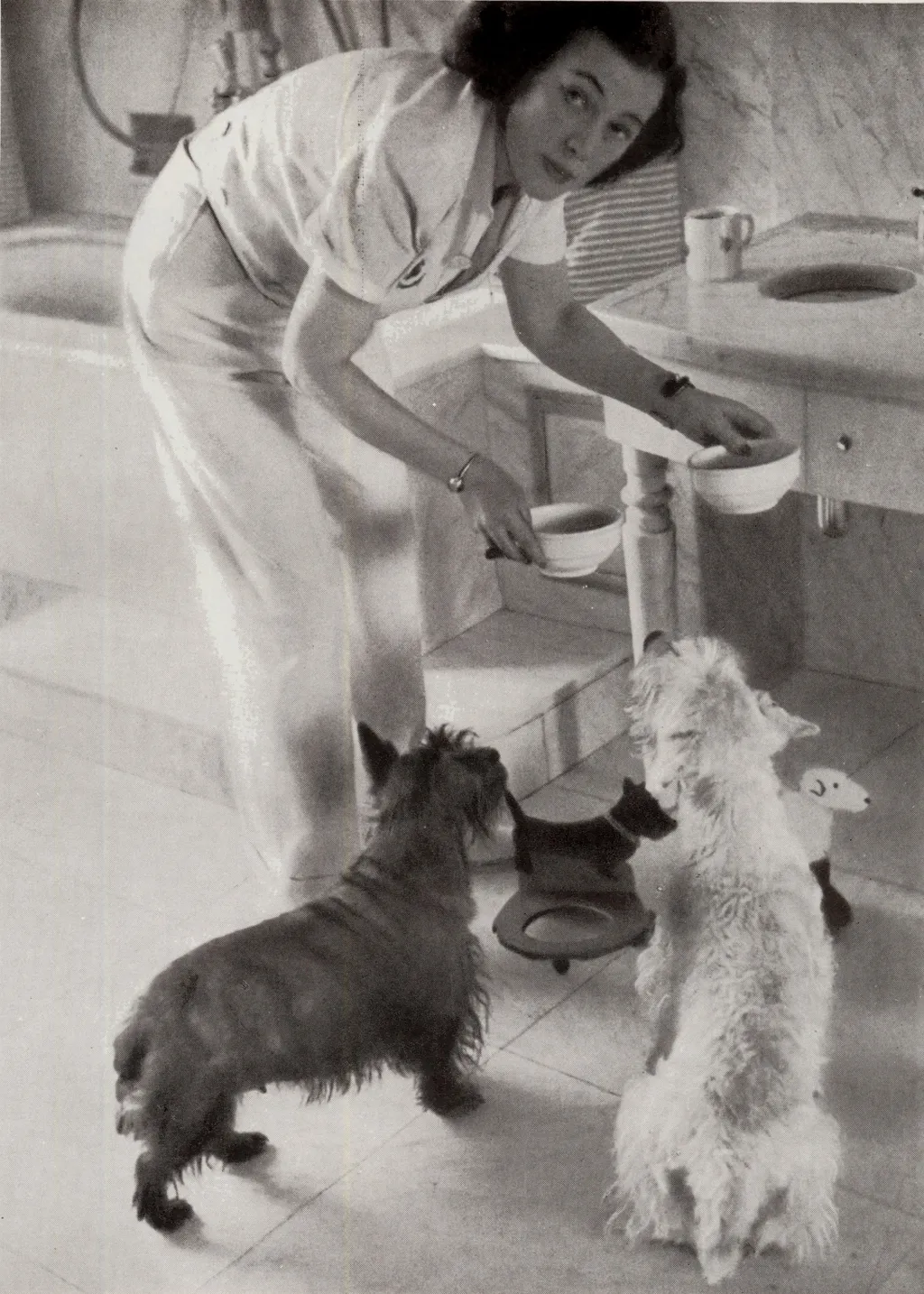 Bajor-gizi-szineszno-otthonaban-kutyaival 