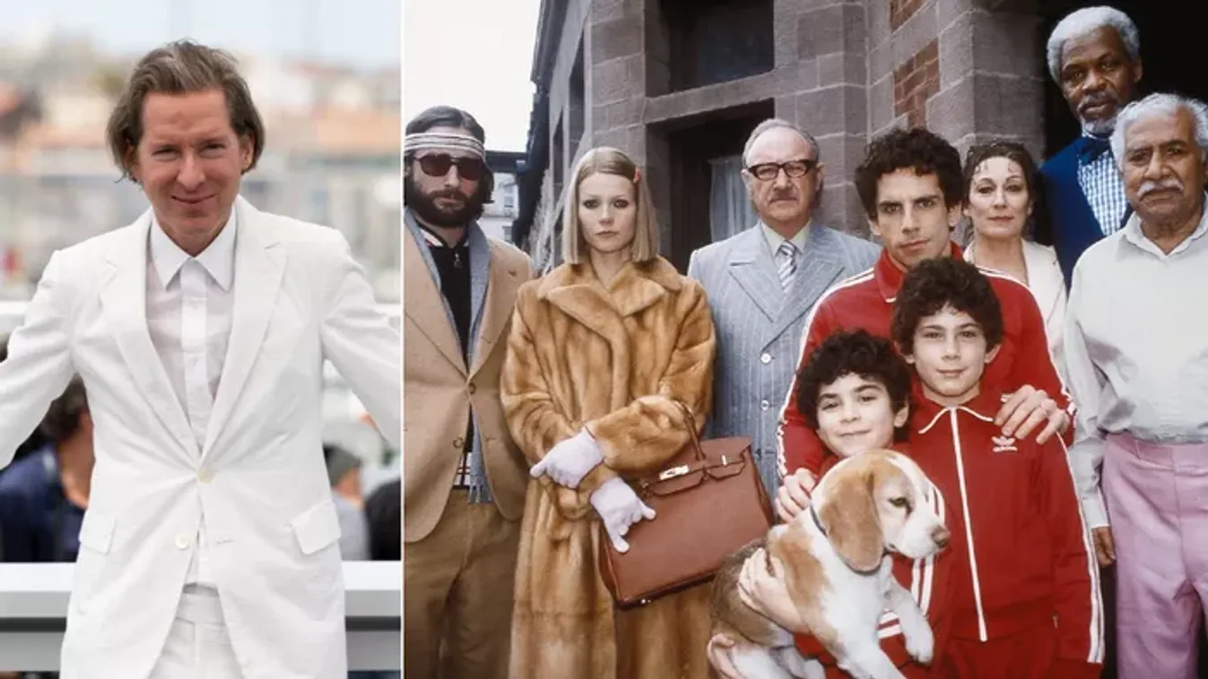 Wes Anderson három klasszikusával bővül a Netflix kínálata februárban