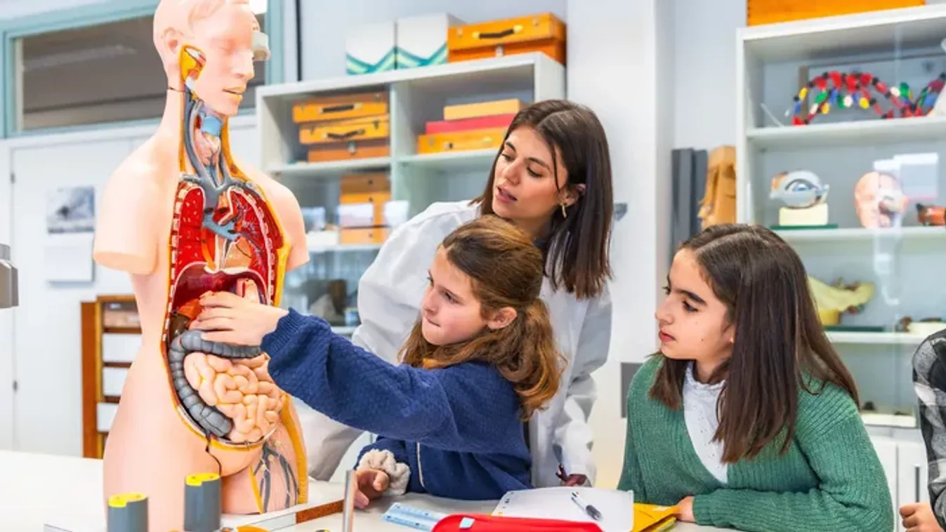 Emberi test kvíz: 7 kérdés, amin a legtöbben elbuknak – Neked vajon sikerül hibátlanul?