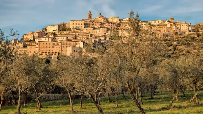 Ilyen egy hamisítatlan itáliai olajbogyó-szüret