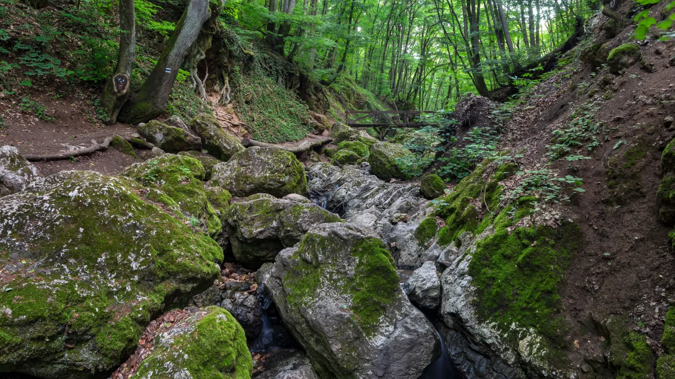Dera-szurdok – rövid túra a Pilis egyik legszebb völgyében