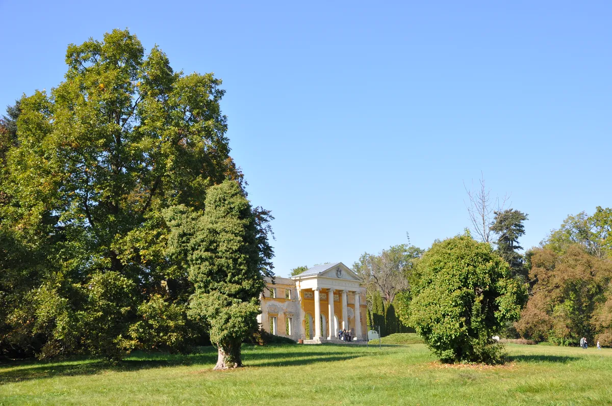 Az Alcsúti arborétum a kastély homlokzati falával.