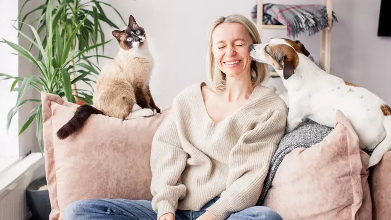 Kutyás vagy macskás típus vagy? A személyiségteszt, ami felfedi, milyen vagy a szerelemben