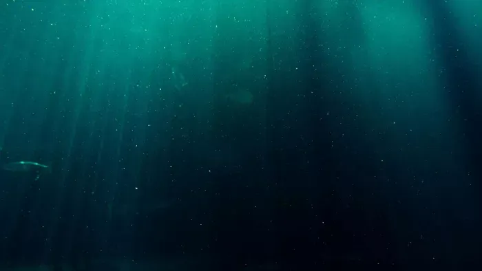 100 napig élt az Atlanti-óceán mélyén egy férfi