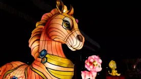 Kínai újév 2026: A Tűz Ló éve és a két szám, amit mindenkinek kerülnie kell