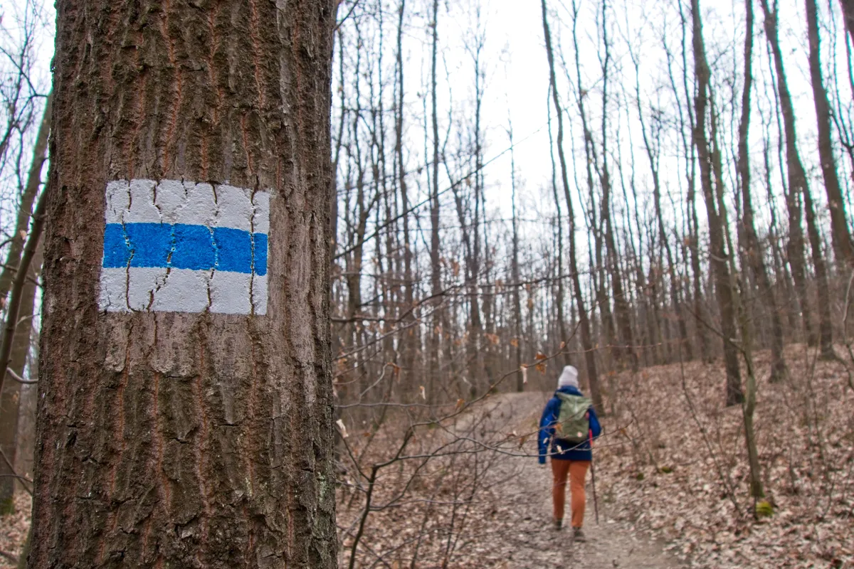 Kéktúra vonalán túrázik egy férfi.