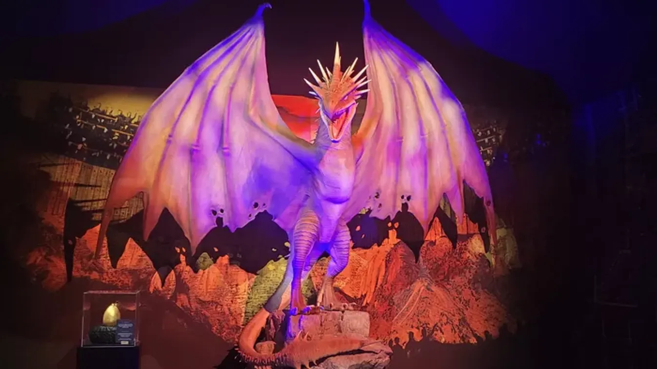 Beléptünk a varázsvilágba – Megnyílt a Harry Potter kiállítás Szentendrén