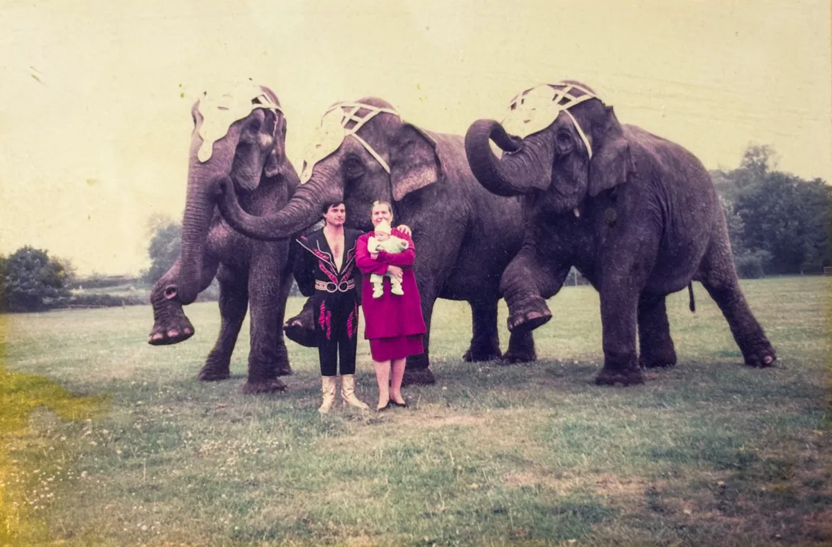 A Richter cirkusz híres eleántjai, akikről világszerte beszéltek az emberek