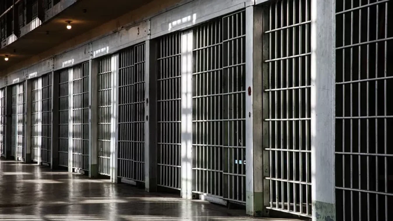 Életfogytiglan kapott Ausztriában: fejbe lőtte volt élettársát egy magyar férfi