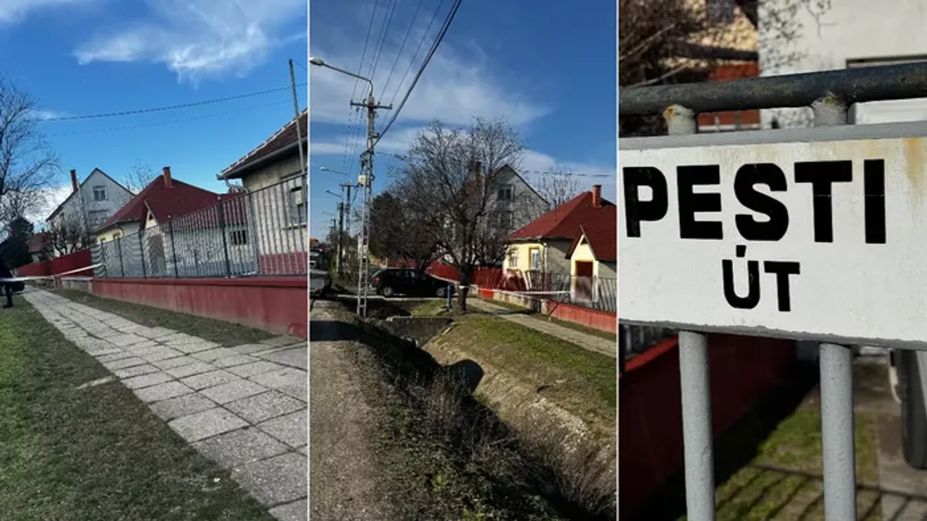 Most érkezett: rendőrök ásnak egy ceglédberceli kertben - 27 éve eltűnt nő holttestét keresik